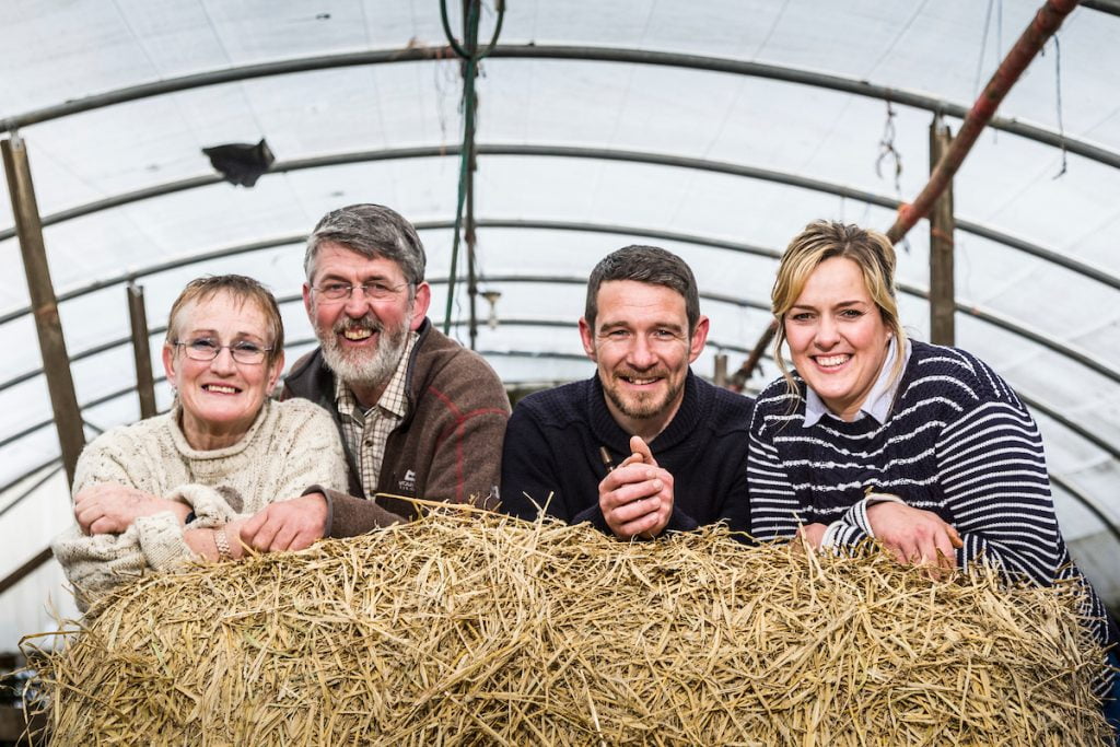 Agritourism Sector Praises Scottish Enterprise Monitor Farm Programme