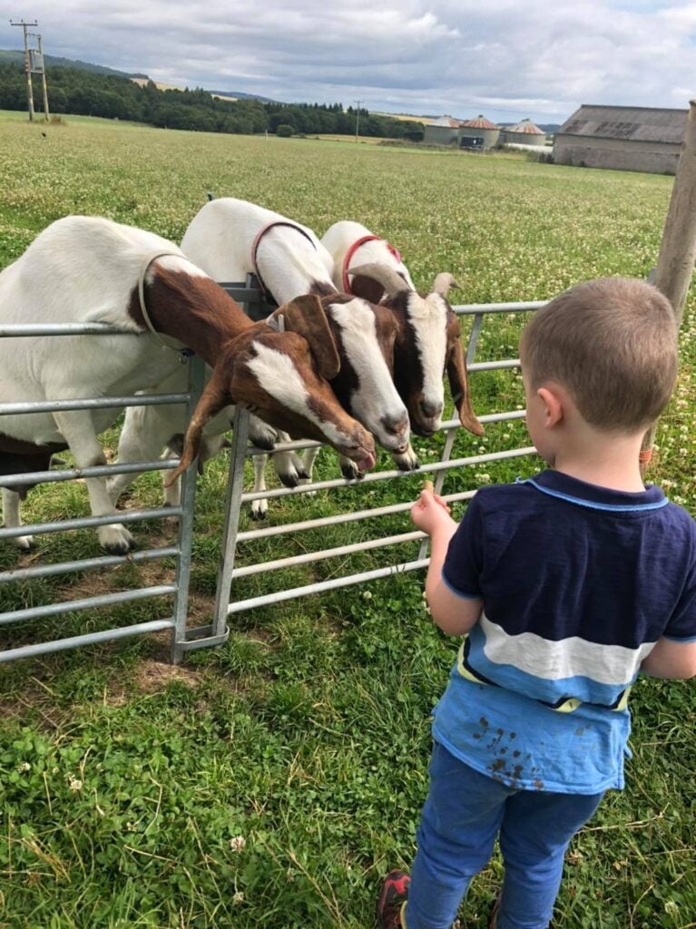 Scottish Agritourism Monitor Farm Programme September Virtual